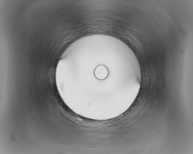 X0000111350036200908211244