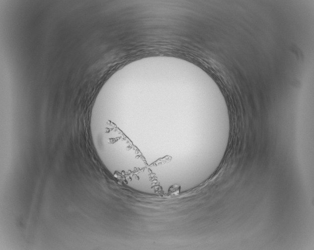 X0000111350037200908211244
