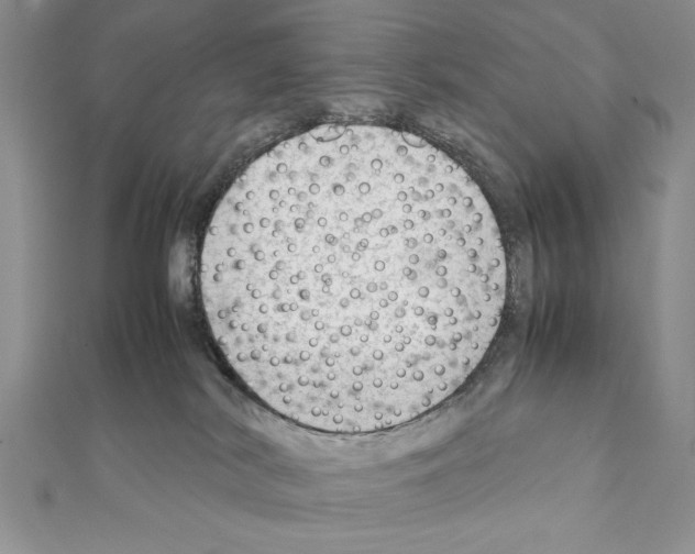 X0000111350038200908211244