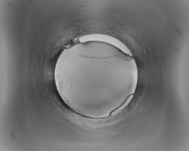X0000111350039200908211244