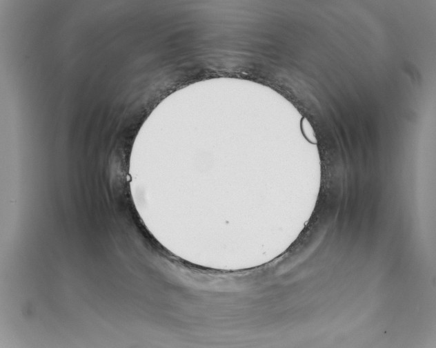 X0000111350040200908211244