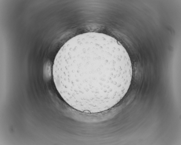 X0000111350042200908211244