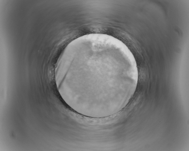 X0000111350043200908211244