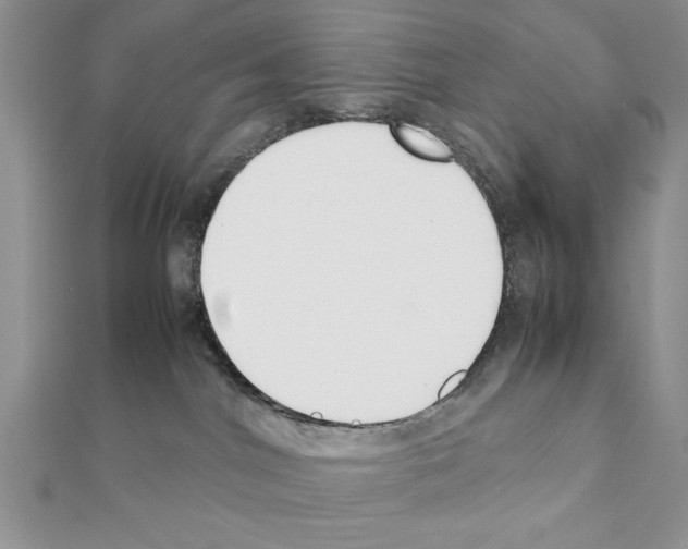 X0000111350044200908211244