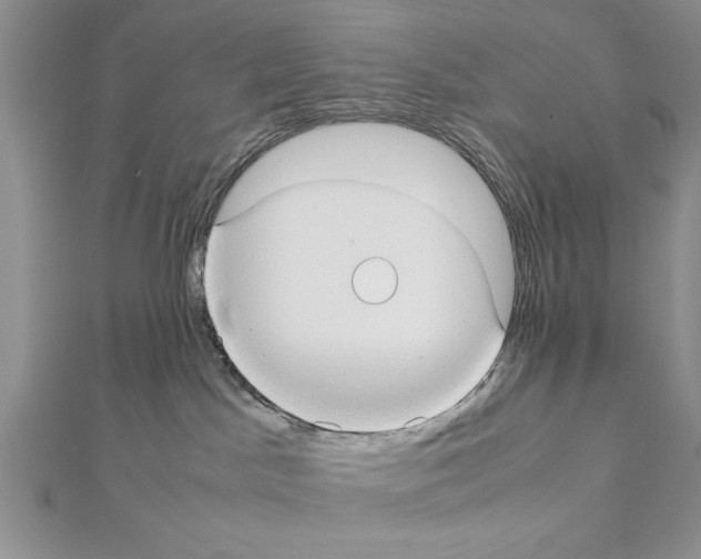 X0000111350045200908211244