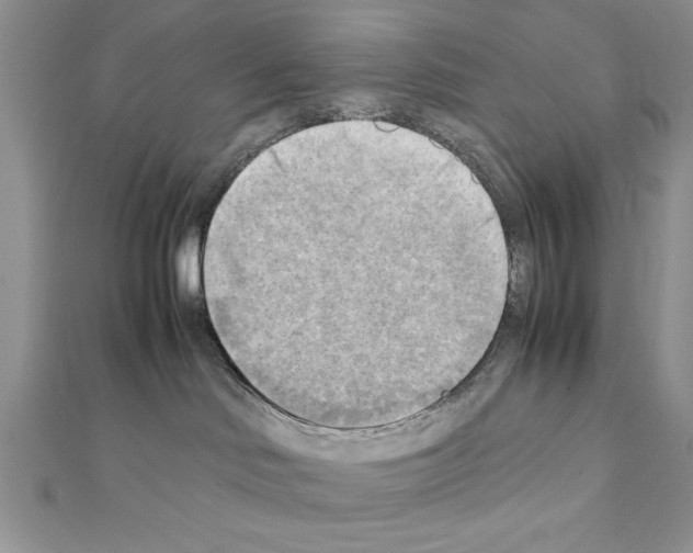 X0000111350046200908211244