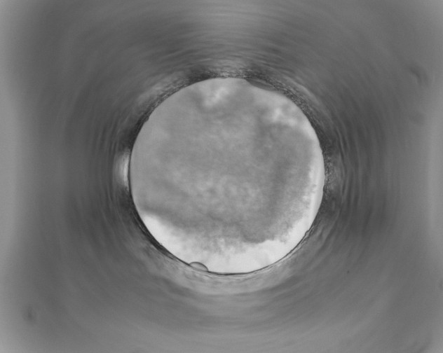 X0000111350047200908211244