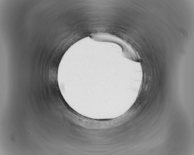 X0000111350048200908211244