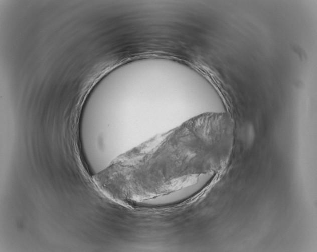 X0000111350049200908211243