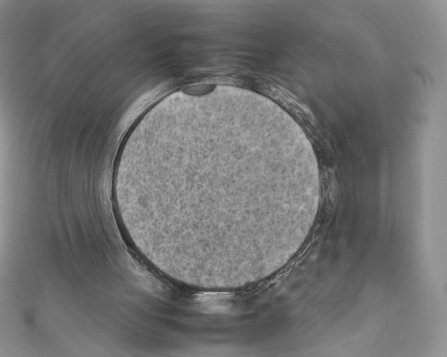 X0000111350051200908211243