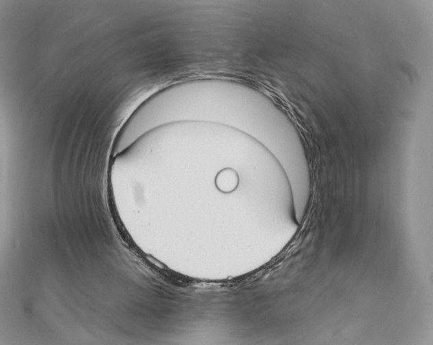 X0000111350052200908211243