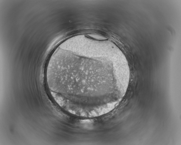 X0000111350053200908211243