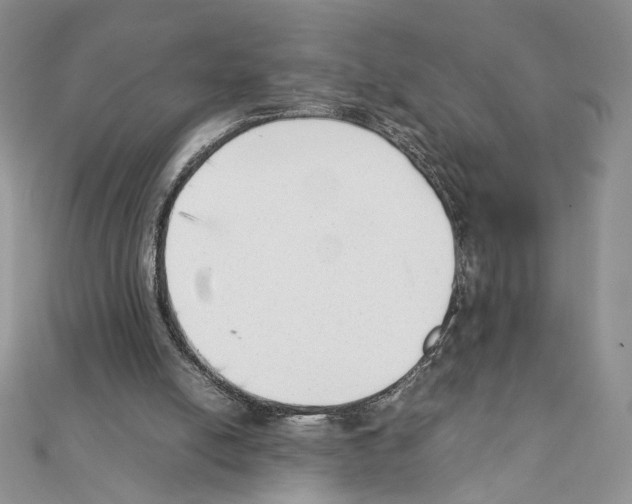 X0000111350054200908211243