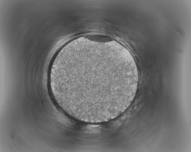 X0000111350055200908211243