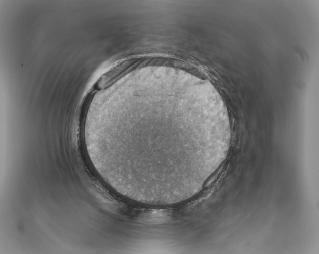 X0000111350056200908211243