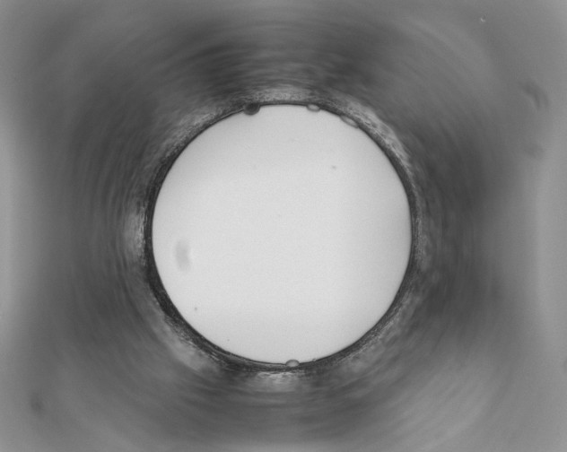 X0000111350057200908211243
