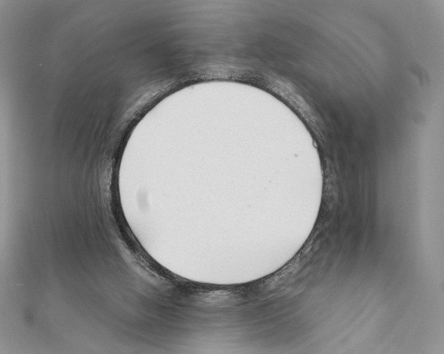 X0000111350058200908211243