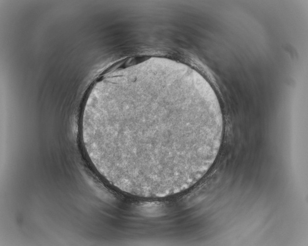 X0000111350059200908211243