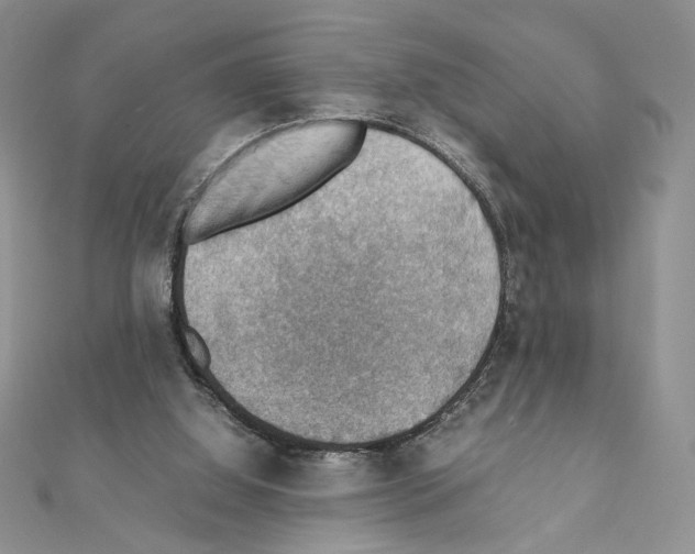 X0000111350060200908211243
