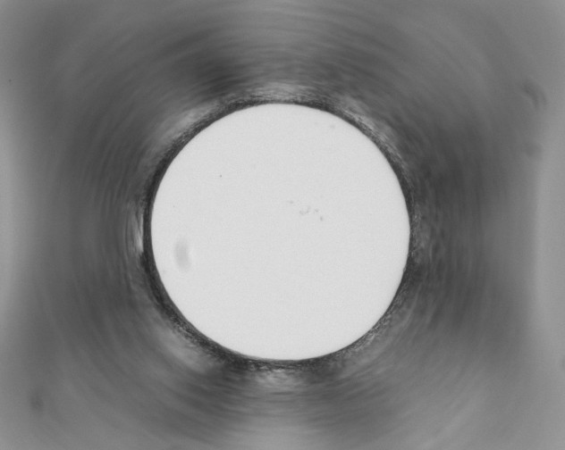 X0000111350062200908211243