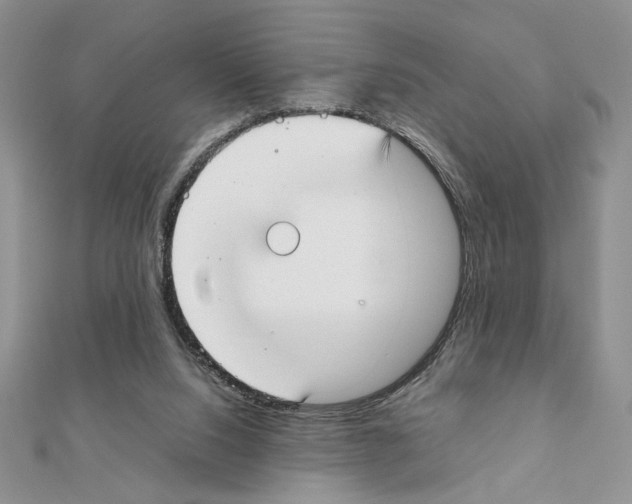 X0000111350064200908211243
