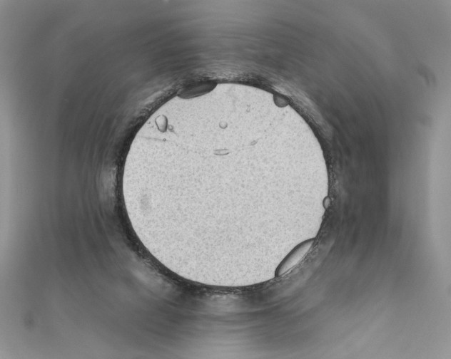 X0000111350066200908211243