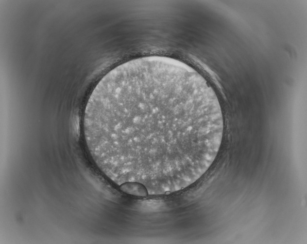 X0000111350067200908211243
