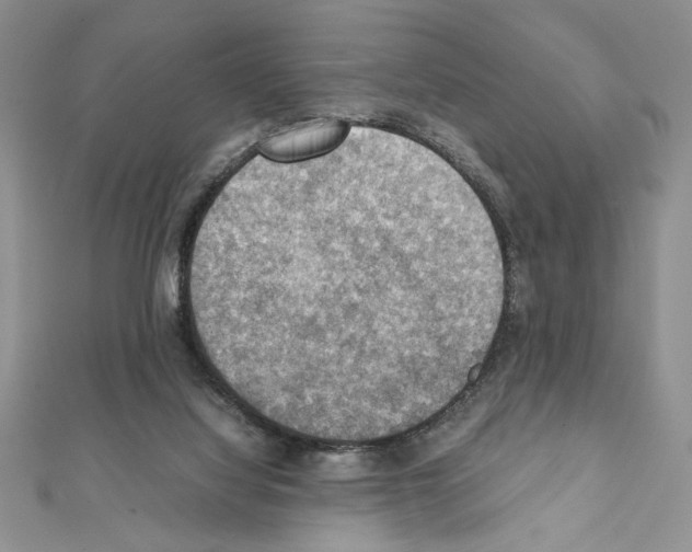 X0000111350068200908211243