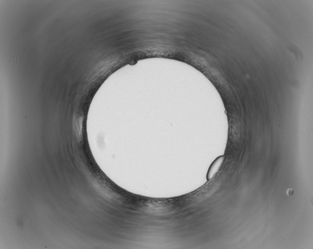 X0000111350070200908211243