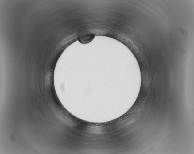 X0000111350071200908211243