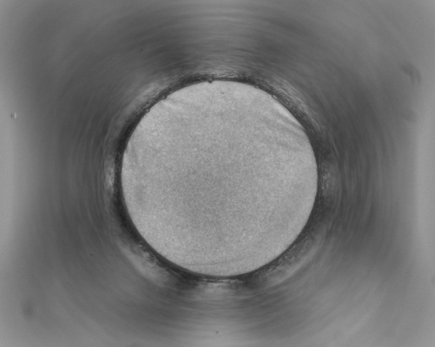 X0000111350072200908211243