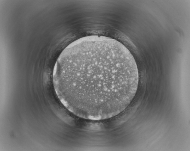 X0000111350073200908211243