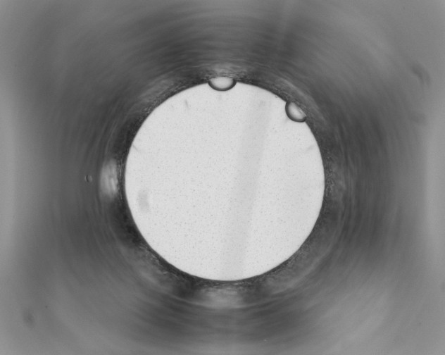 X0000111350075200908211243