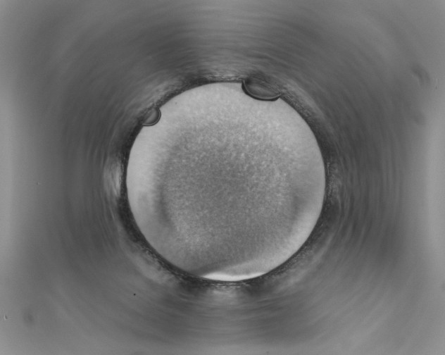 X0000111350076200908211243