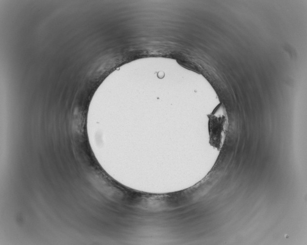 X0000111350078200908211243