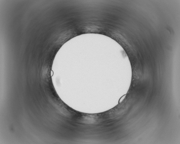 X0000111350079200908211243