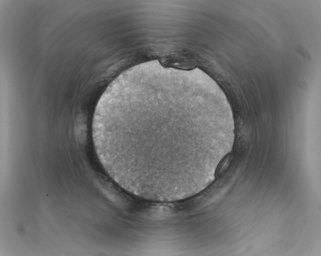 X0000111350080200908211243