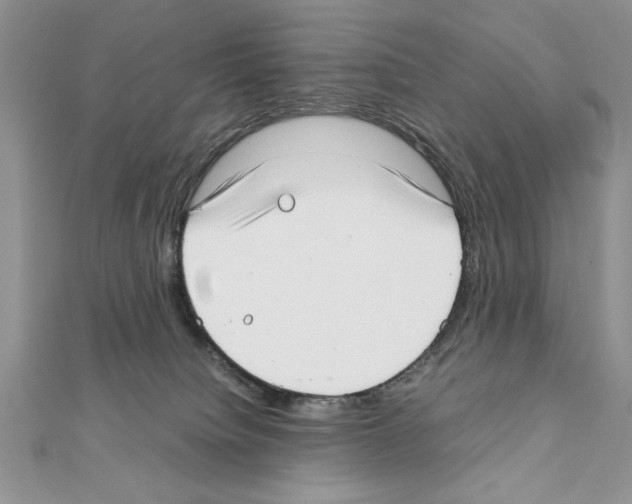 X0000111350084200908211244