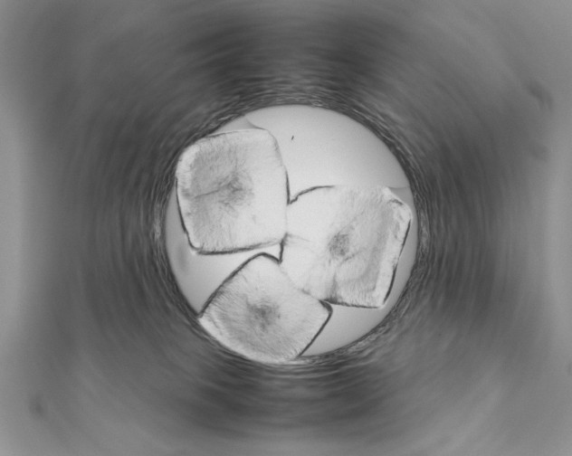 X0000111350085200908211244