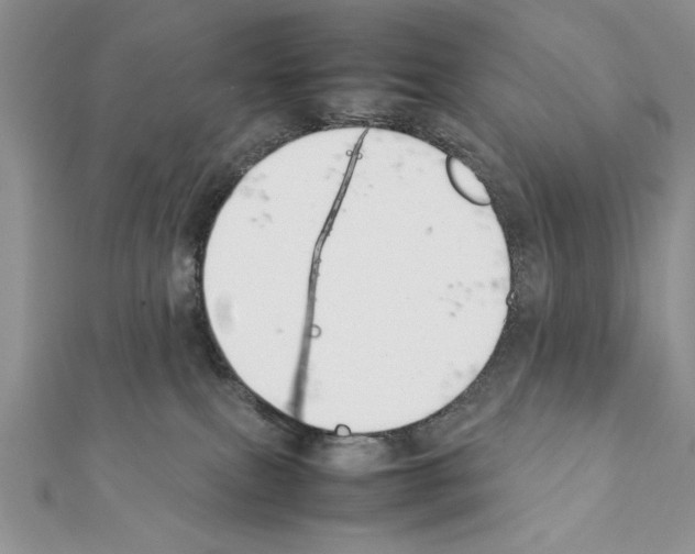X0000111350087200908211244