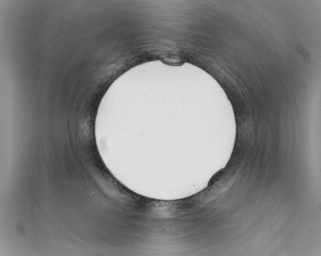 X0000111350088200908211244