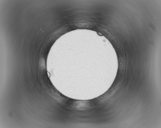 X0000111350089200908211244