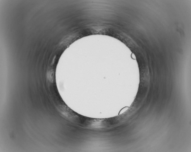 X0000111350090200908211244