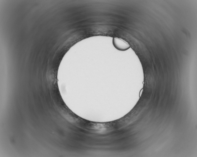 X0000111350091200908211244