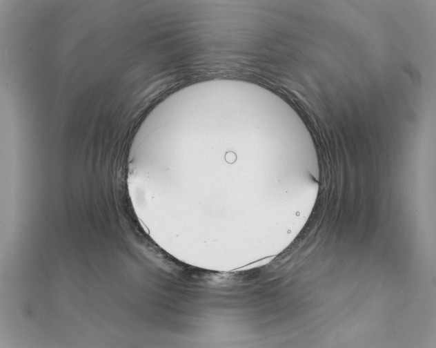 X0000111350092200908211244