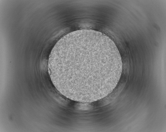 X0000111350093200908211244