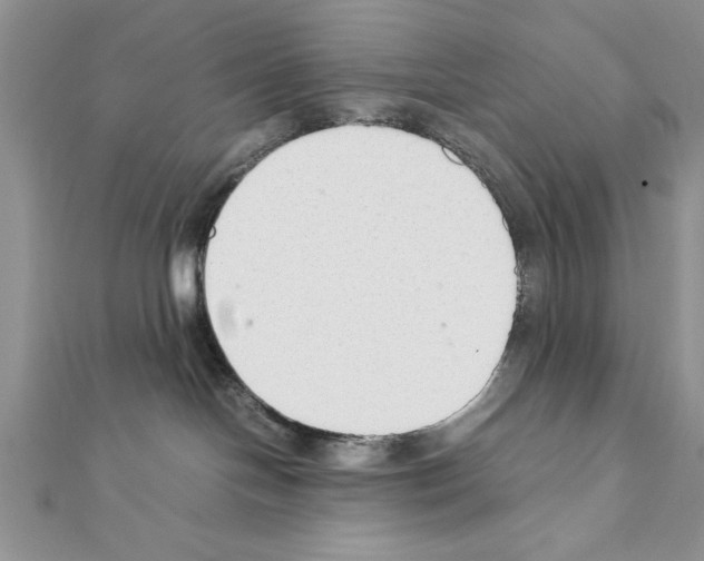 X0000111350094200908211244