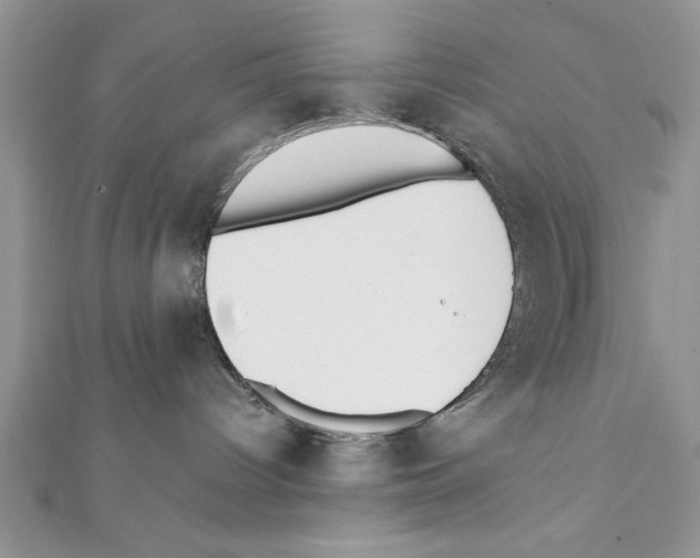 X0000111350096200908211244