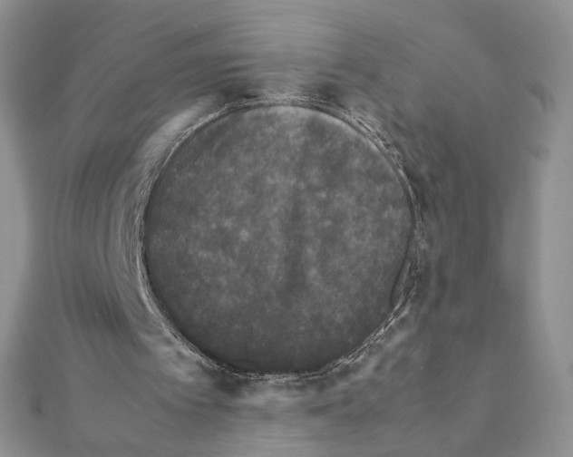 X0000111350097200908211243