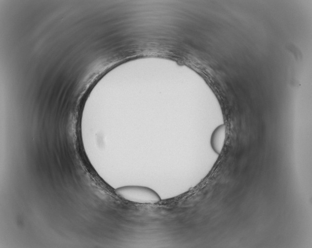 X0000111350098200908211243
